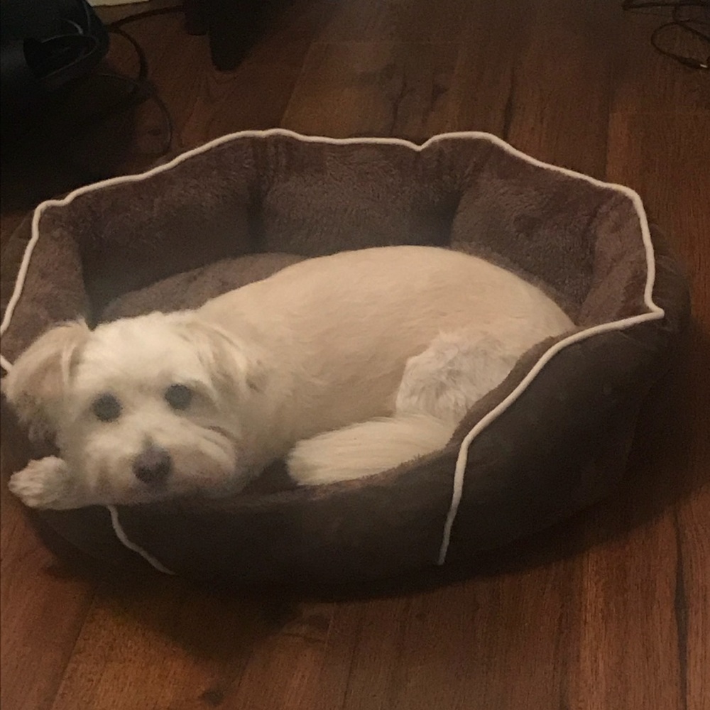 Meet your Posher, Robin